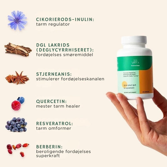 GastroClear™ | Frisk Start for Dine Tarme