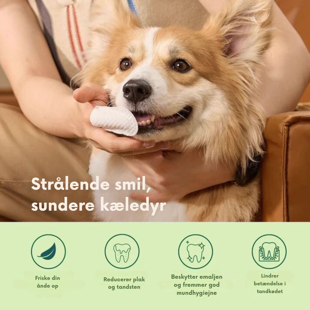 PetFresh™ Tandrens - Beskytter mod tandproblemer (1+1 GRATIS)