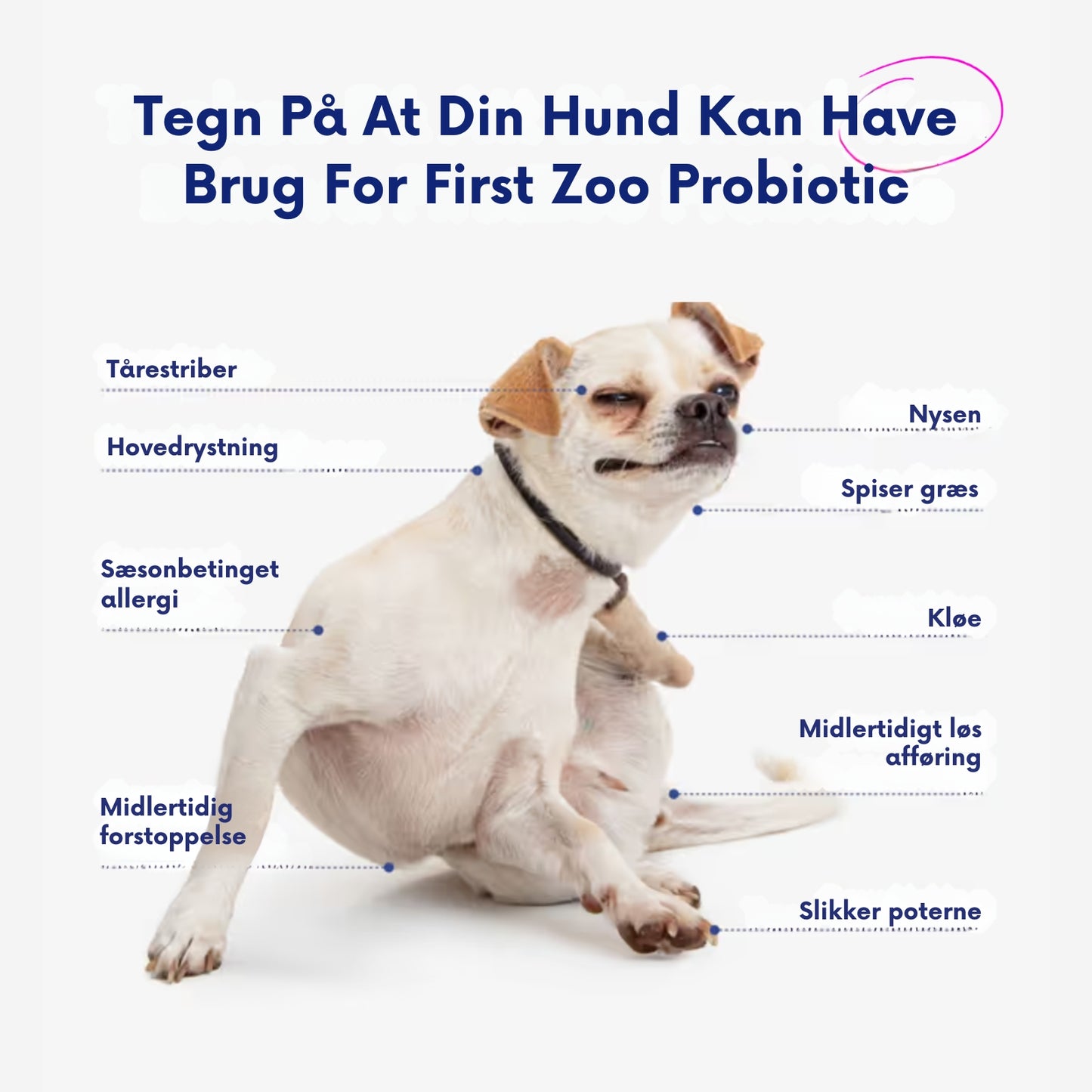 GutPaws™ – Probiotisk støtte til hunde