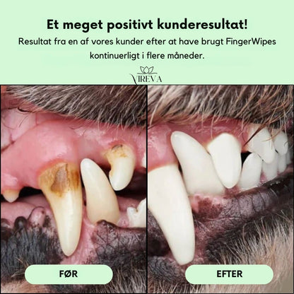 PetFresh™ Tandrens - Beskytter mod tandproblemer
